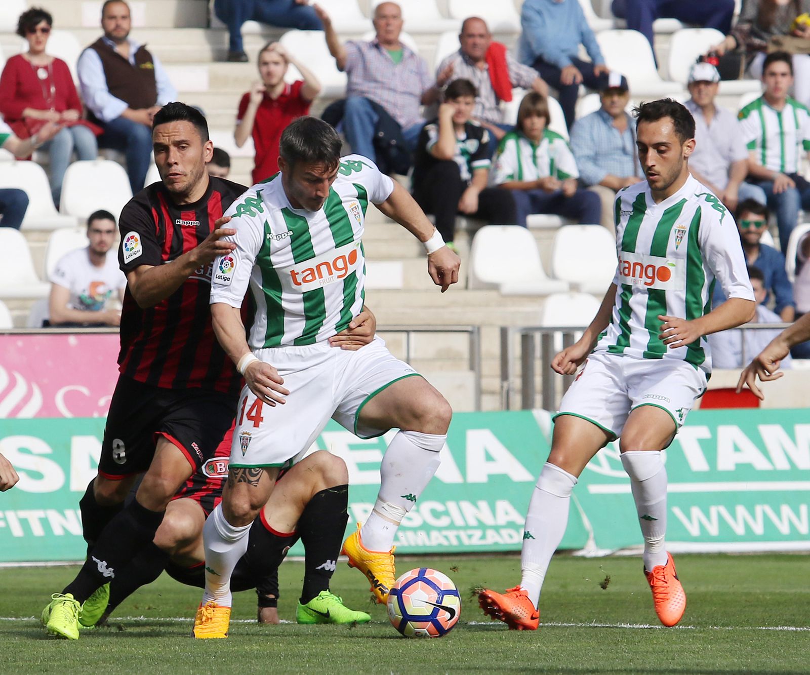 Las imágenes del Córdoba-Reus