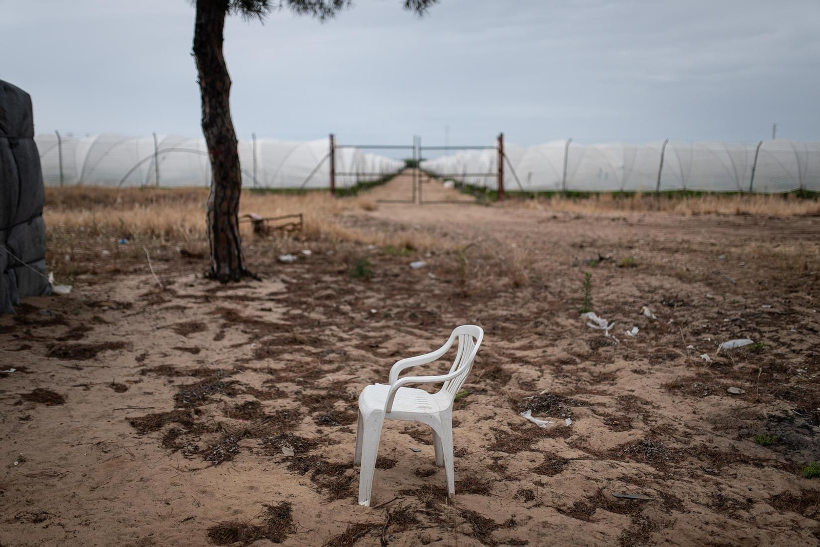 Galería de imágenes. La vida en el poblado chabolista de Las Madres (Moguer)