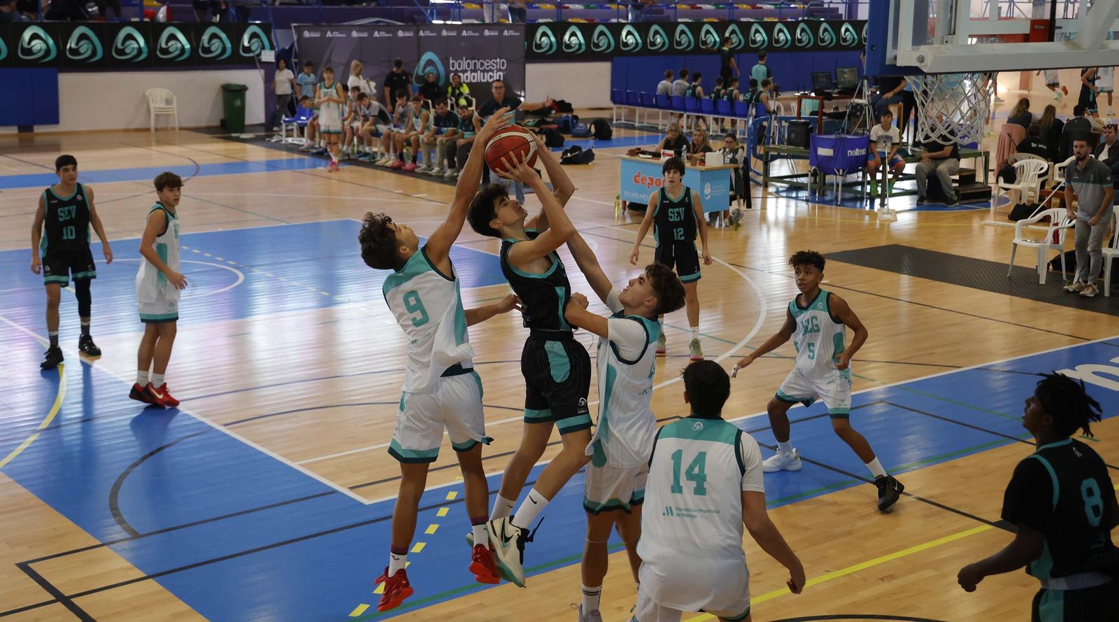 Las fotos de la tercera y última jornada del Campeonato de Andalucía infantil masculino de baloncesto, en La Línea