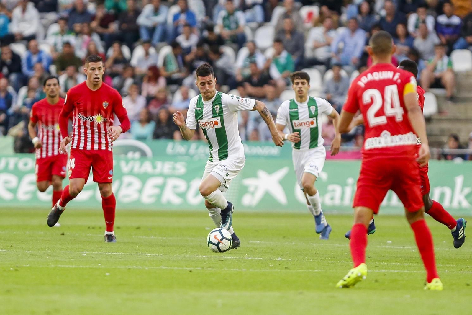 Las imágenes del Córdoba-Almería