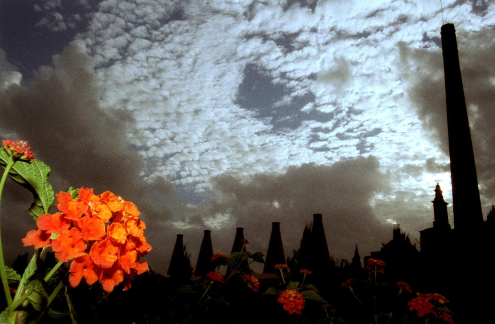 Foto de archivo del Monasterio de la Cartuja.