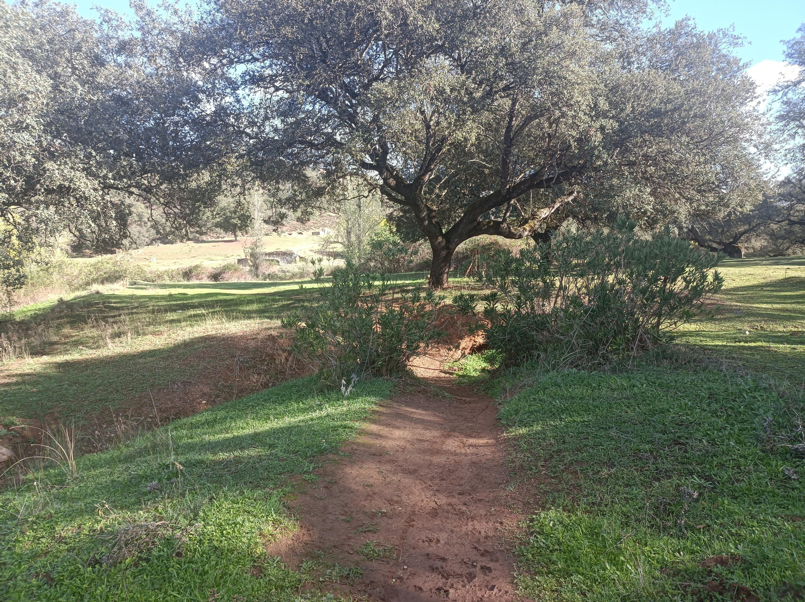 Fotos de la ruta de los molinos de Almadén de la Plata