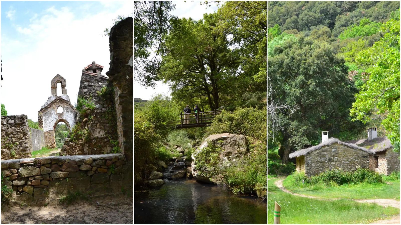 El entorno de La Sauceda.