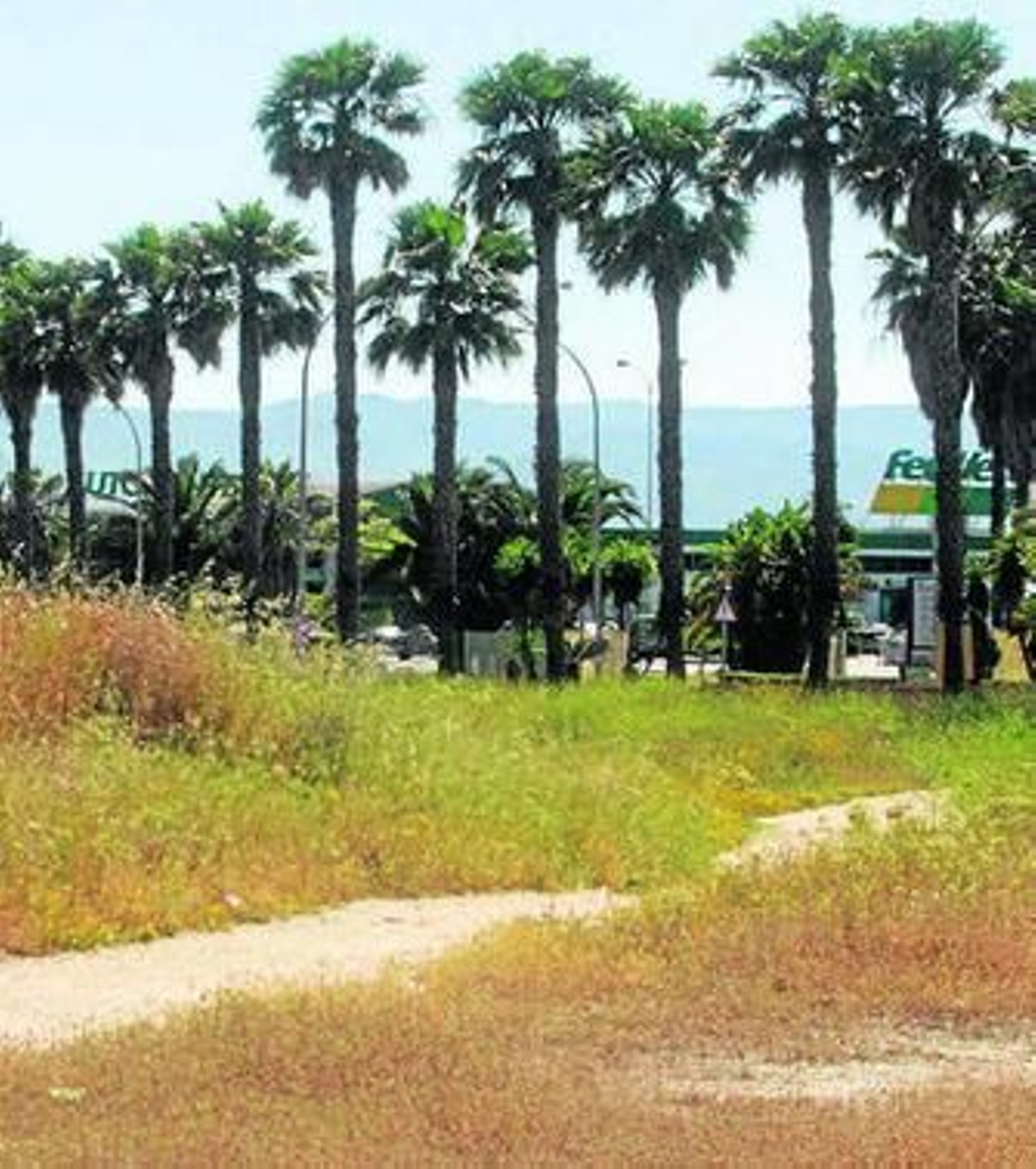 Instantánea parcial de los terrenos vendidos a Roseworld.