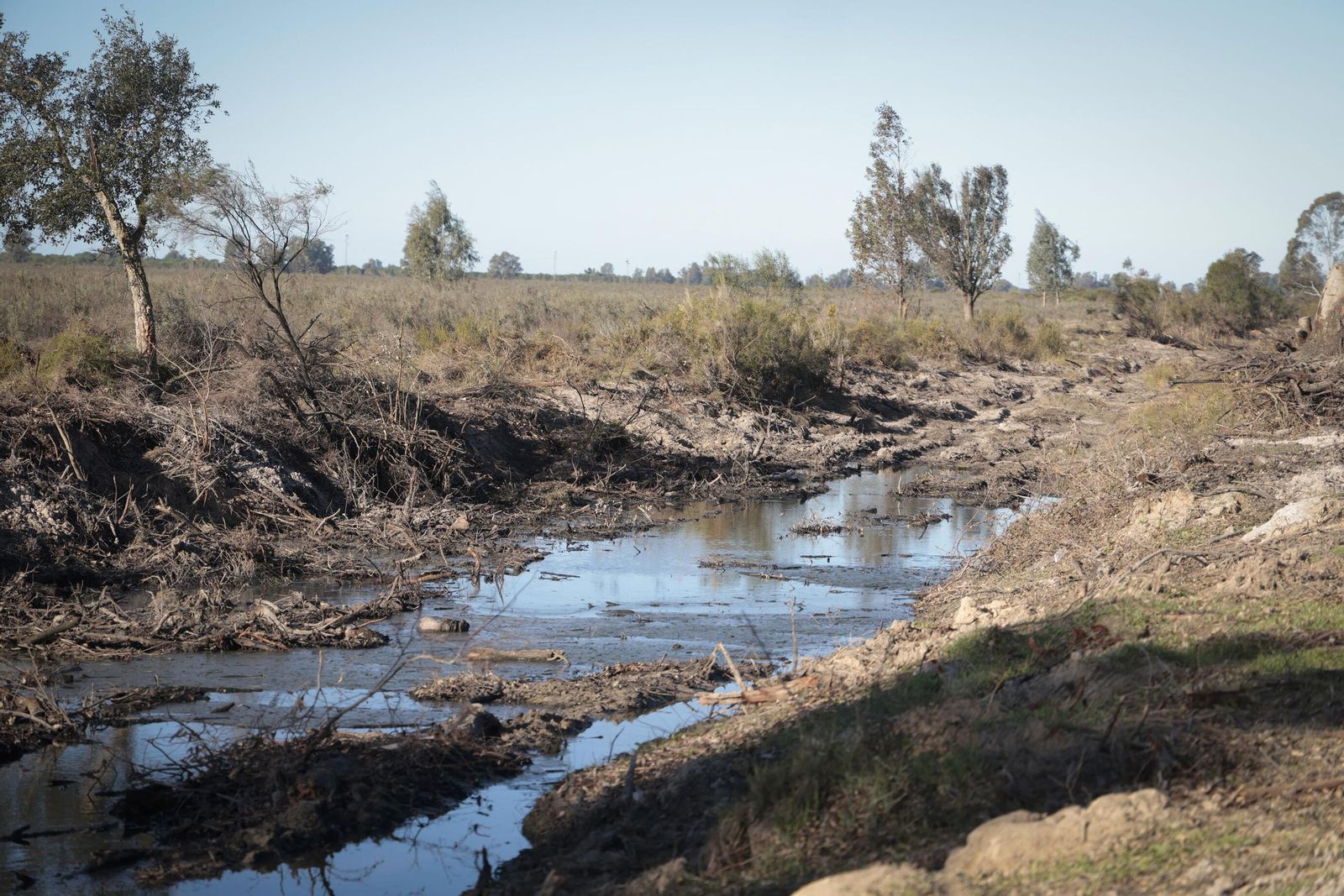 La renaturalización de Los Mimbrales: imágenes de la transformación del espacio natural