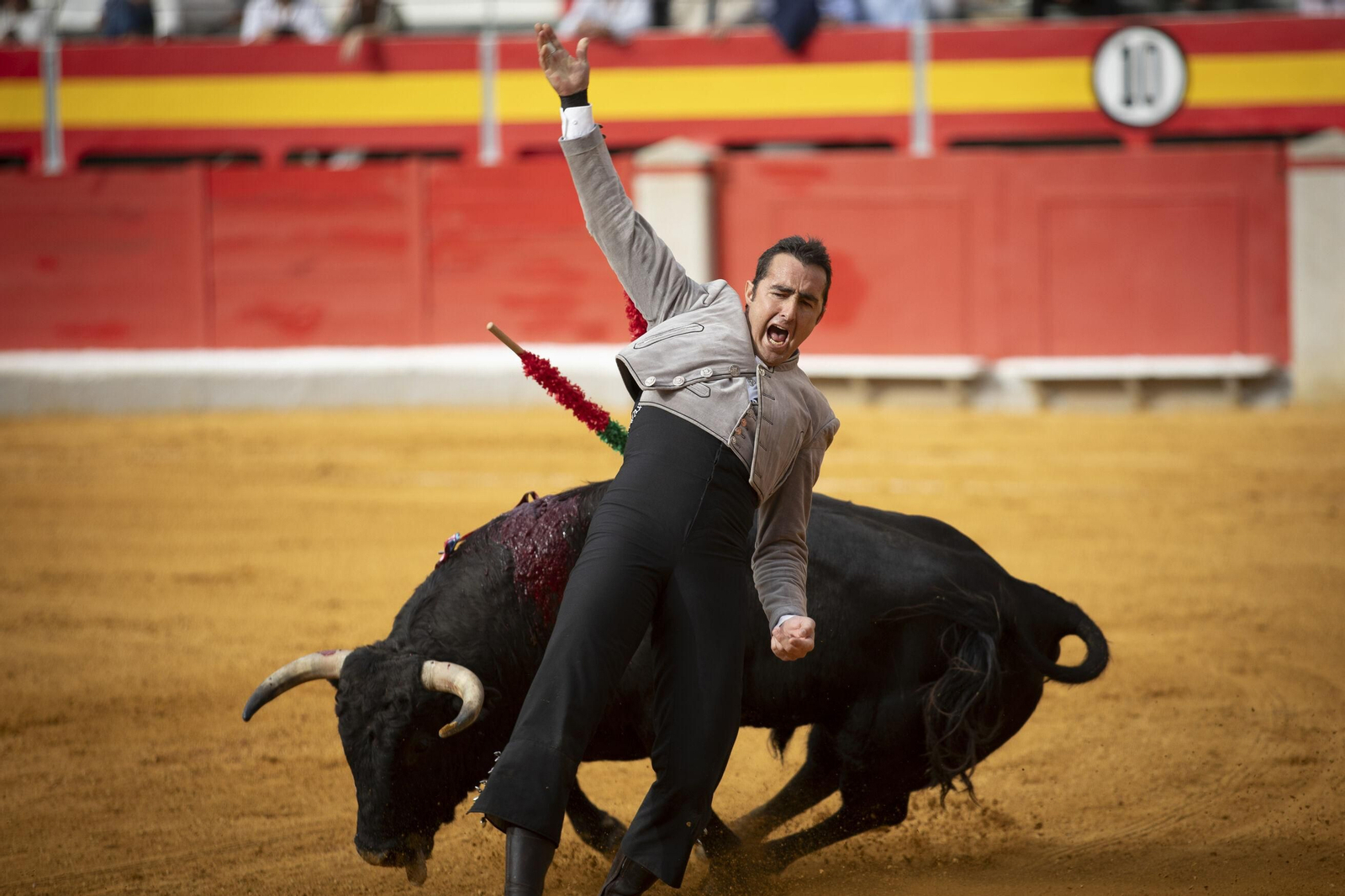 El Festival Taurino a beneficio de Granadown, en imágenes