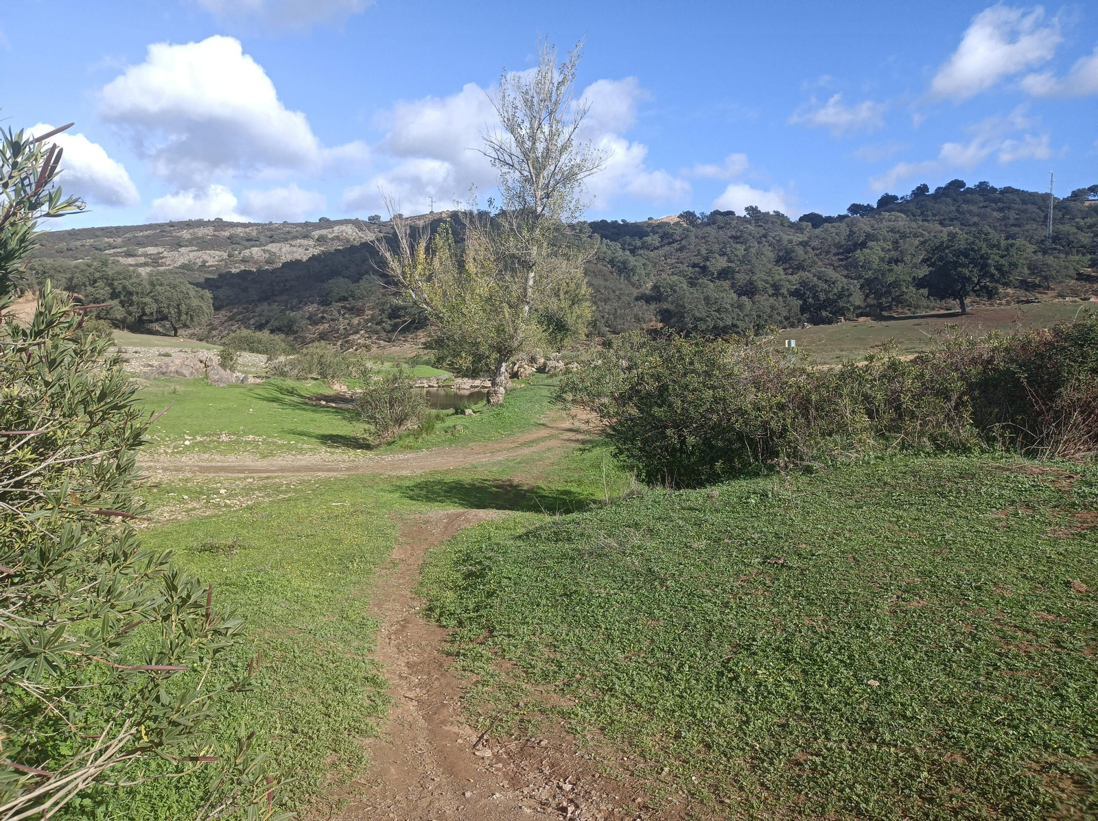 Fotos de la ruta de los molinos de Almadén de la Plata