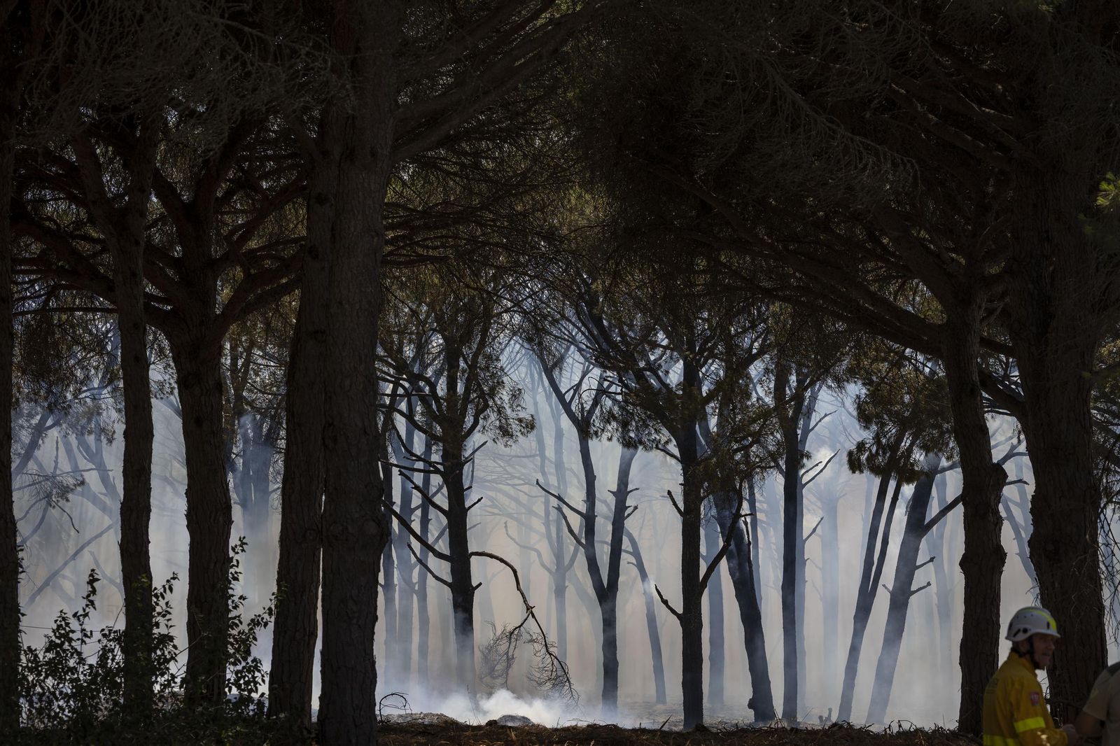 Las imágenes del fuego de la carretera de la Barrosa, con casas afectadas