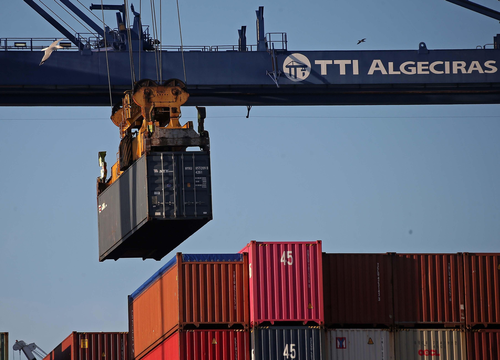 Carga de un contenedor de mercancías en TTI Algeciras. Carga de un contenedor de mercancías en TTI Algeciras.