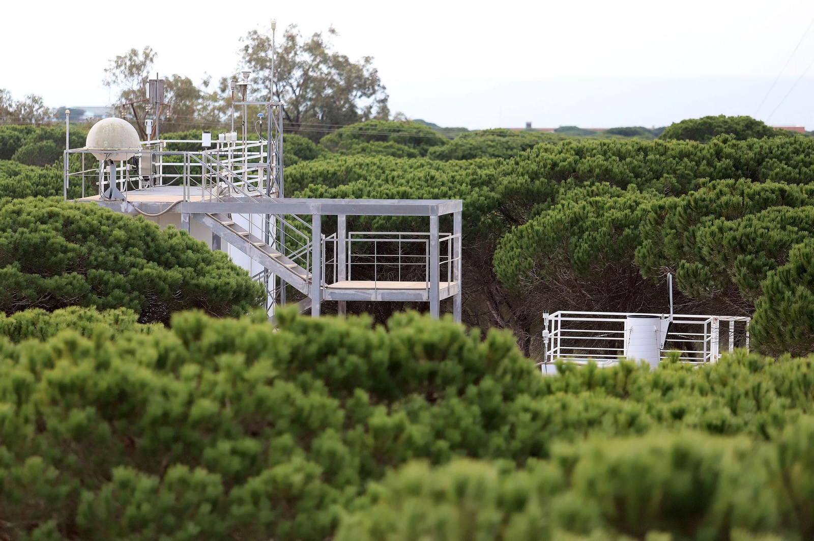 La red mundial de telescopios espaciales con sede en Huelva, en imágenes