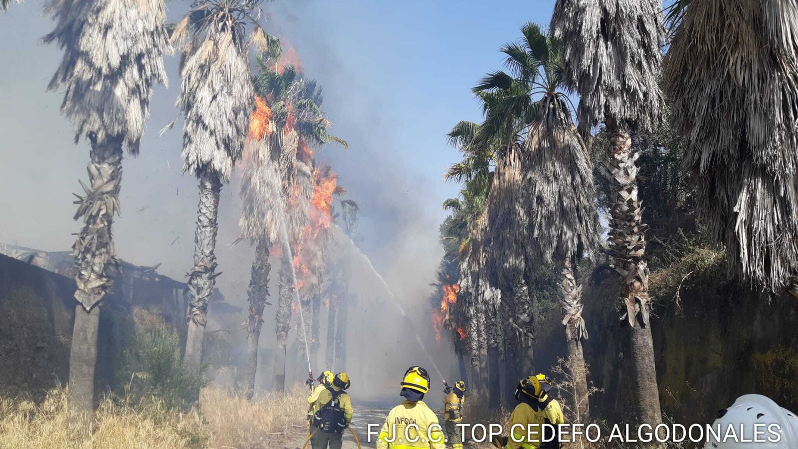 Efectivos del Plan Infoca trabajan en la extinción del incendio en el entorno de La Cartuja de Jerez.