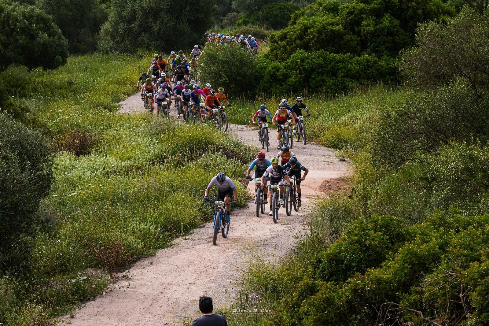 Ciclistas atravesando el Parque Natural de Los Alcornocales