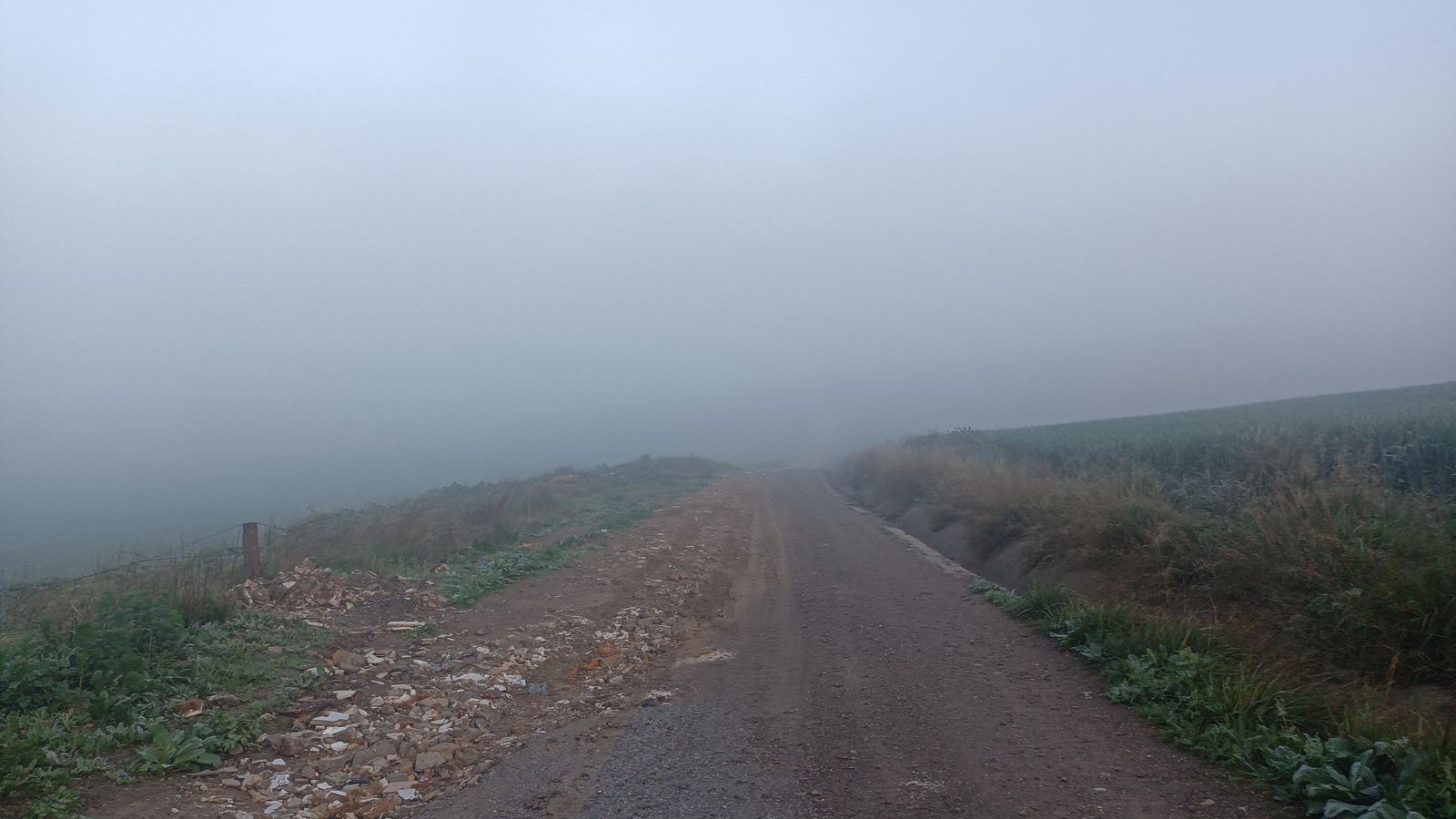 Salimos de El Coronil. Nos aguardan campos y más campos.