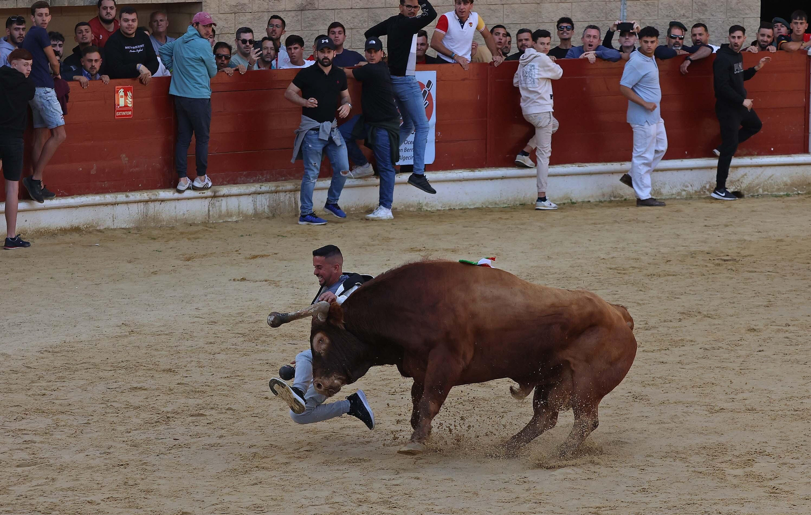 Las mejores fotos del Toro Embolao de Los Barrios 2024
