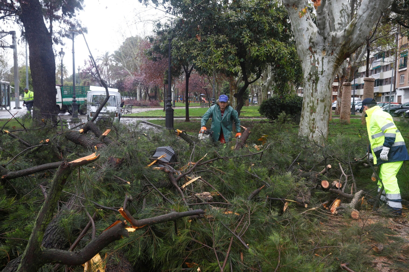 Los daños del último temporal que ha pasado por Córdoba, en imágenes
