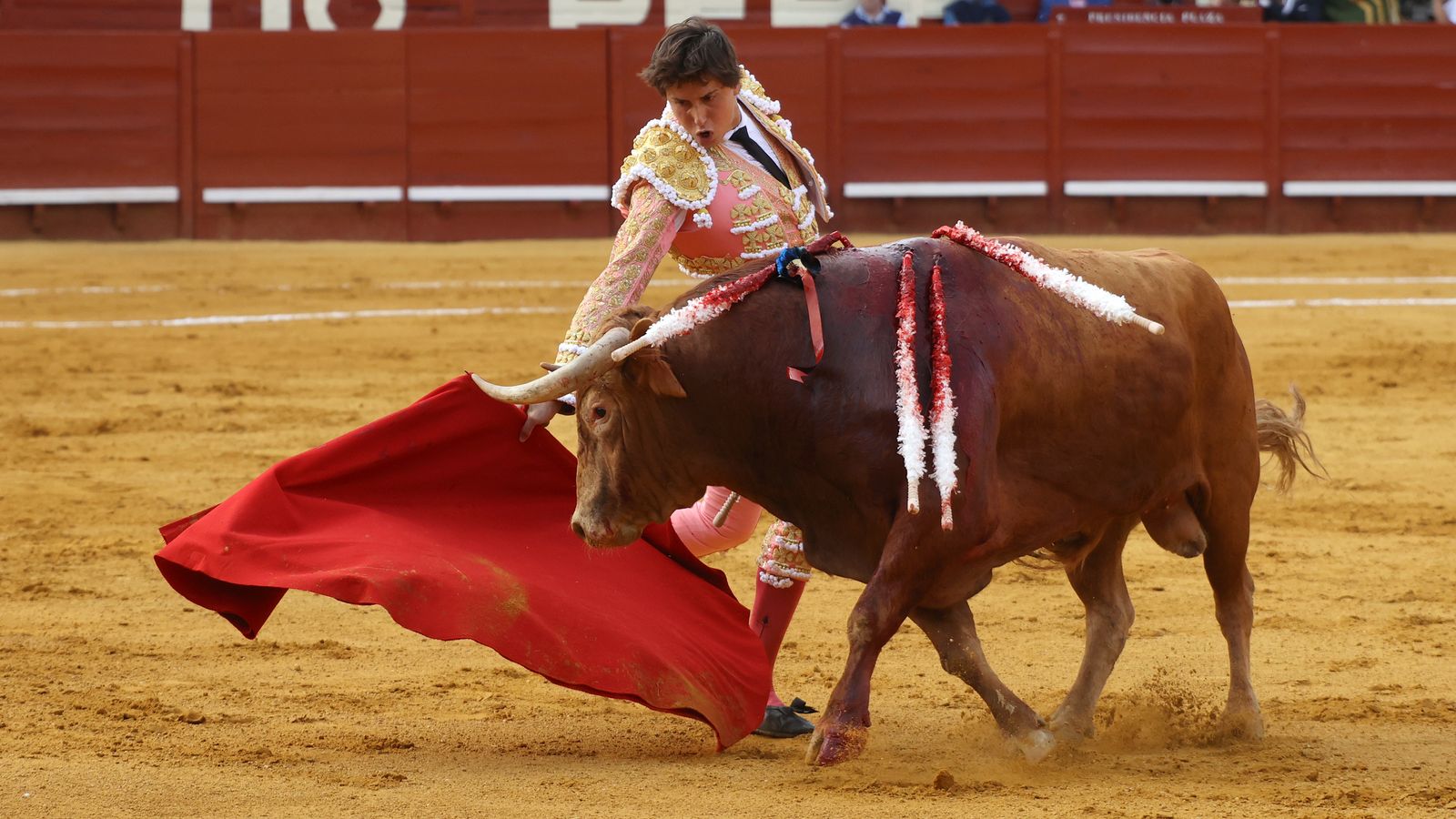 Tercera tarde de toros y última de la Feria de Jerez con Morante, Juan Ortega y Roca Rey