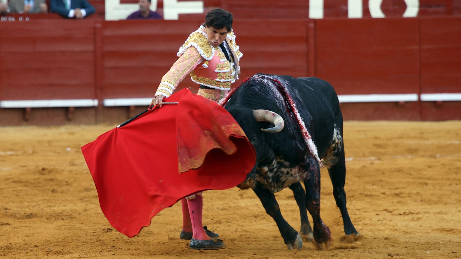 Tercera tarde de toros y última de la Feria de Jerez con Morante, Juan Ortega y Roca Rey
