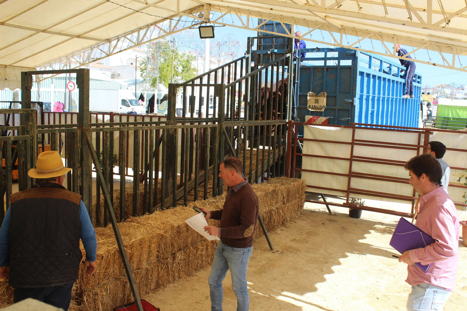 Jueves de feria de Vejer, en imágenes