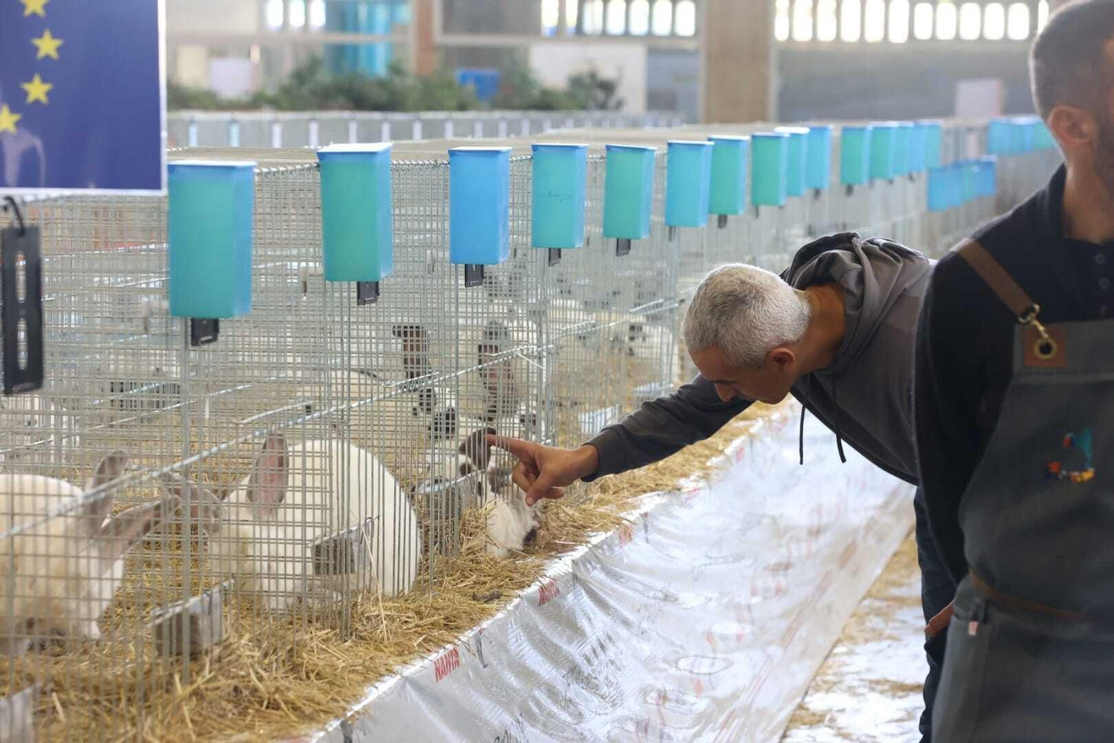 Una imagen de Fegasur en la jornada de ayer. Una imagen de Fegasur en la jornada de ayer.