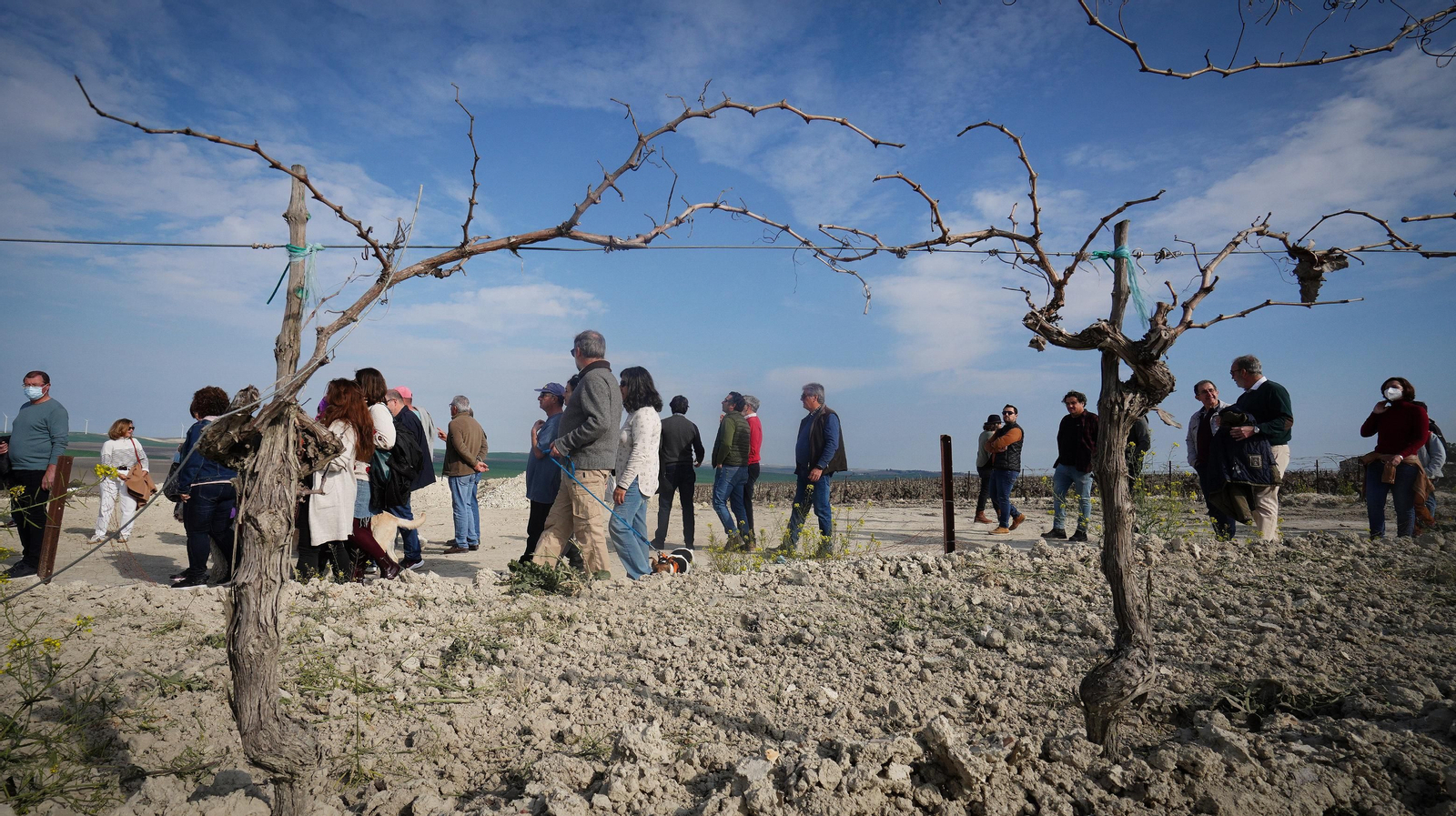 Marcha en protesta por la instalación de un parque eólico en la campiña jerezana