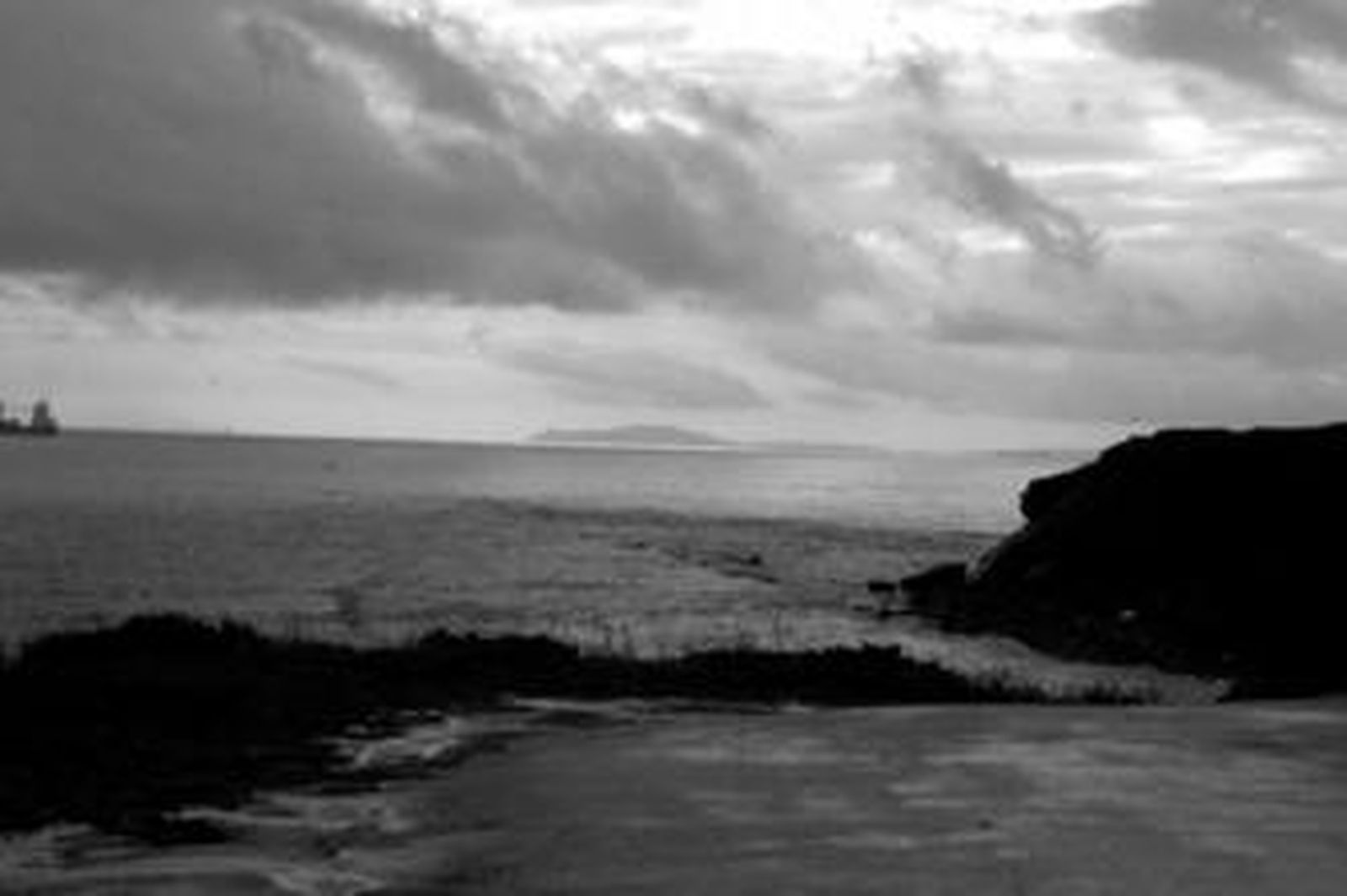 Una de las bellas imágenes que se contemplan dentro del Parque del Centeneario, en pleno Parque Natural del Estrecho.