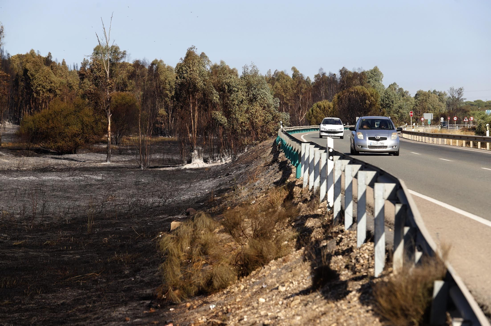 Imágenes de las zonas afectadas por los incendios de Almonte y Bonares