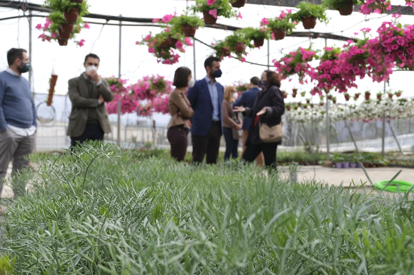 Fotogalería de la visita al vivero municipal de Almería.
