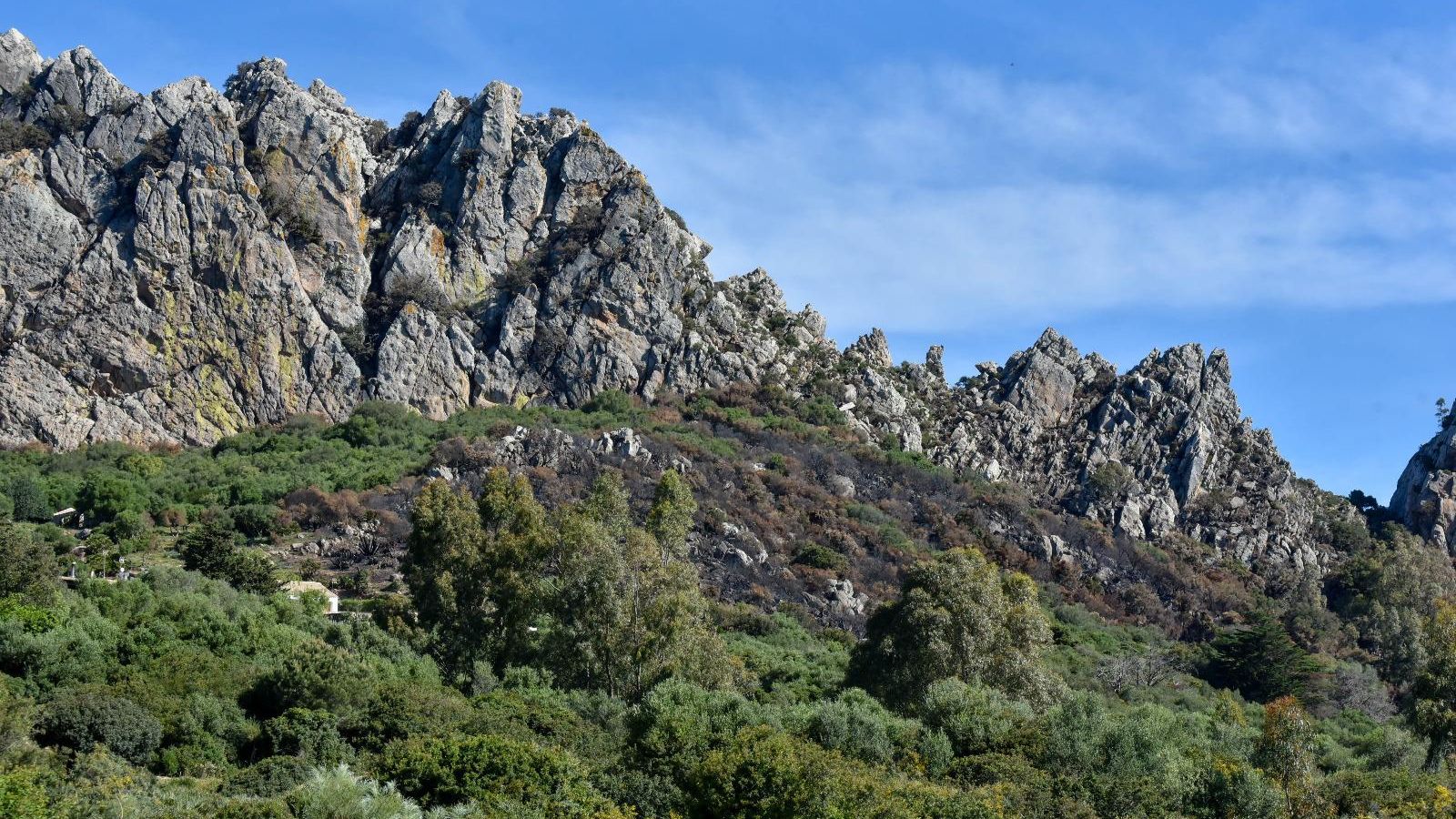 Una de las zonas afectadas por el fuego, en la sierra de San Bartolomé. Una de las zonas afectadas por el fuego, en la sierra de San Bartolomé.