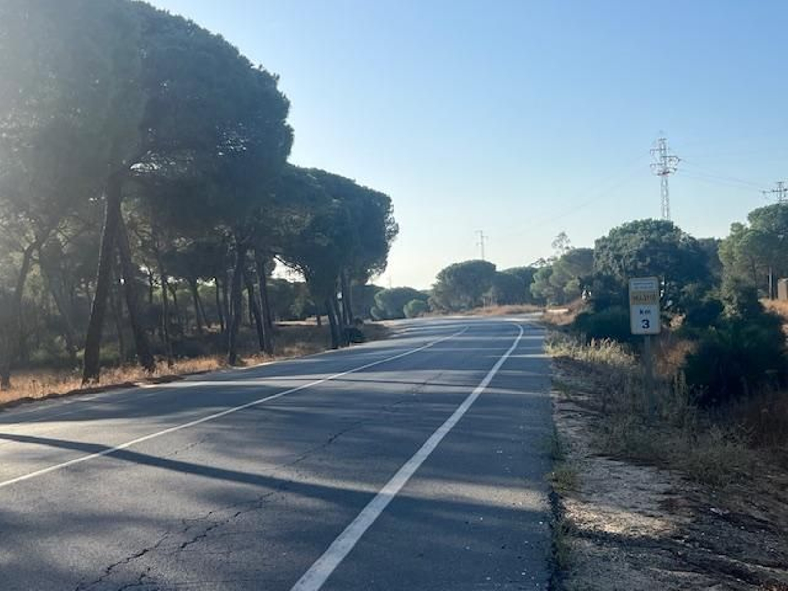 La carretera provincial HU-3110 que une Moguer con El Rocío.