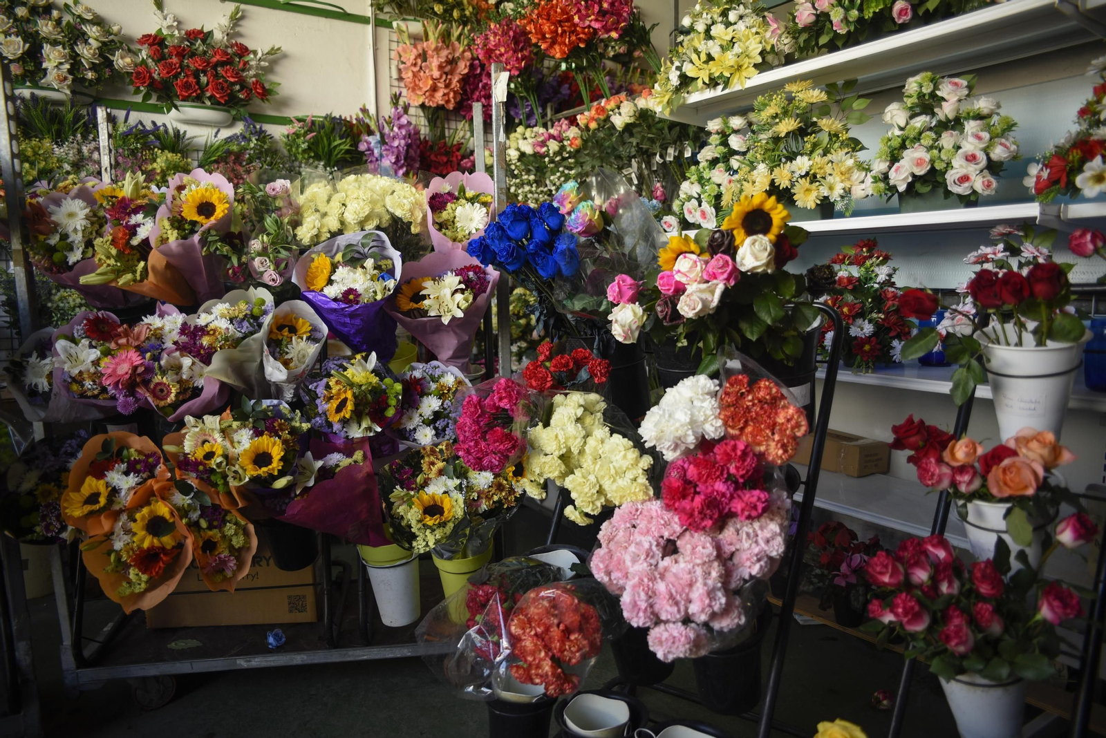 Fotos del Día de Todos los Santos en La Línea