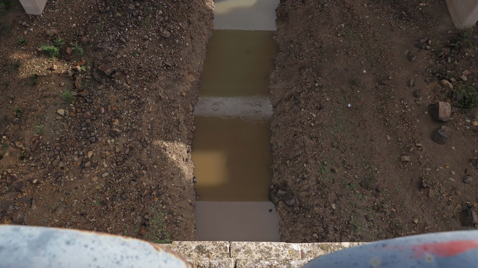 Fotos del pantano de Charco Redondo en Los Barrios