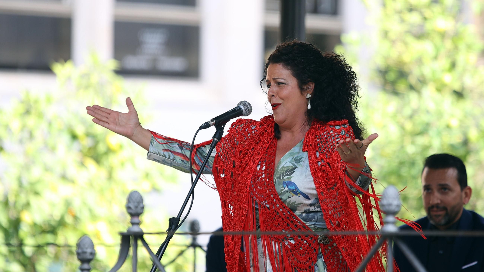 Imágenes del Día del Flamenco 2024 en Jerez