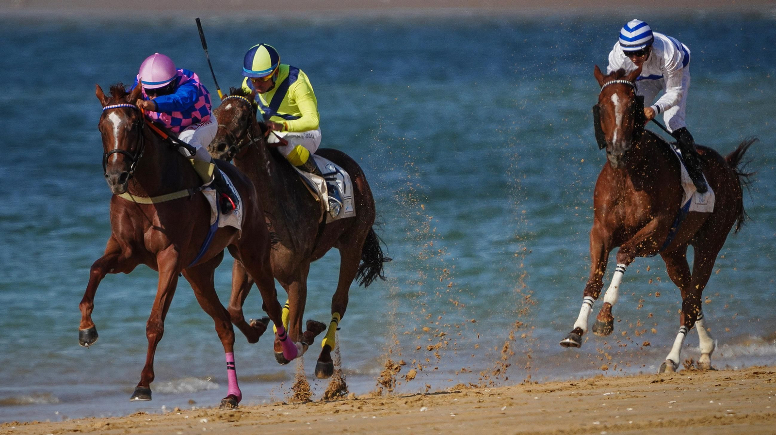 Imágenes de las Carreras de Caballos de Sanlúcar