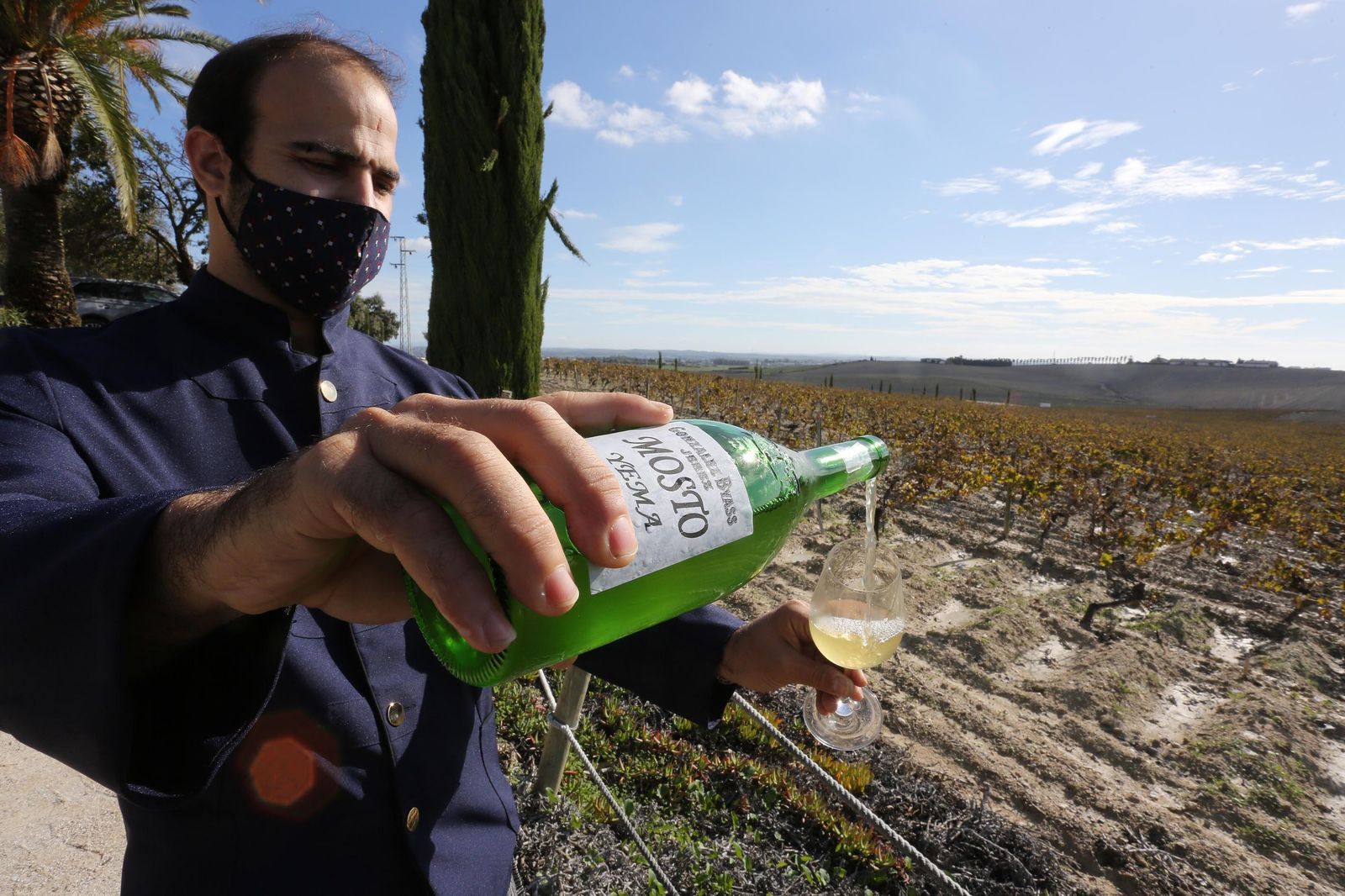 Un camarero sirve una copa del mosto del año de González Byass en la viña La Canariera, dentro del pago de Carrascal del que procede su uva.