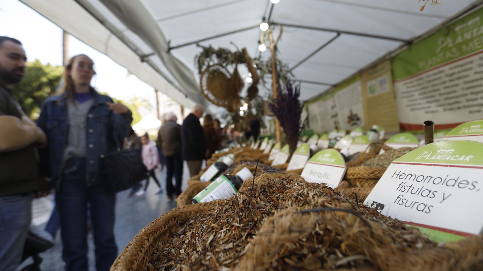 Fotos de la celebración del Día de Andalucía en La Línea