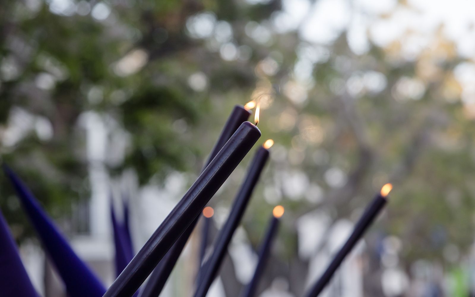 Las imágenes de la cofradía del Nazareno en la Semana Santa de  Chiclana 2022