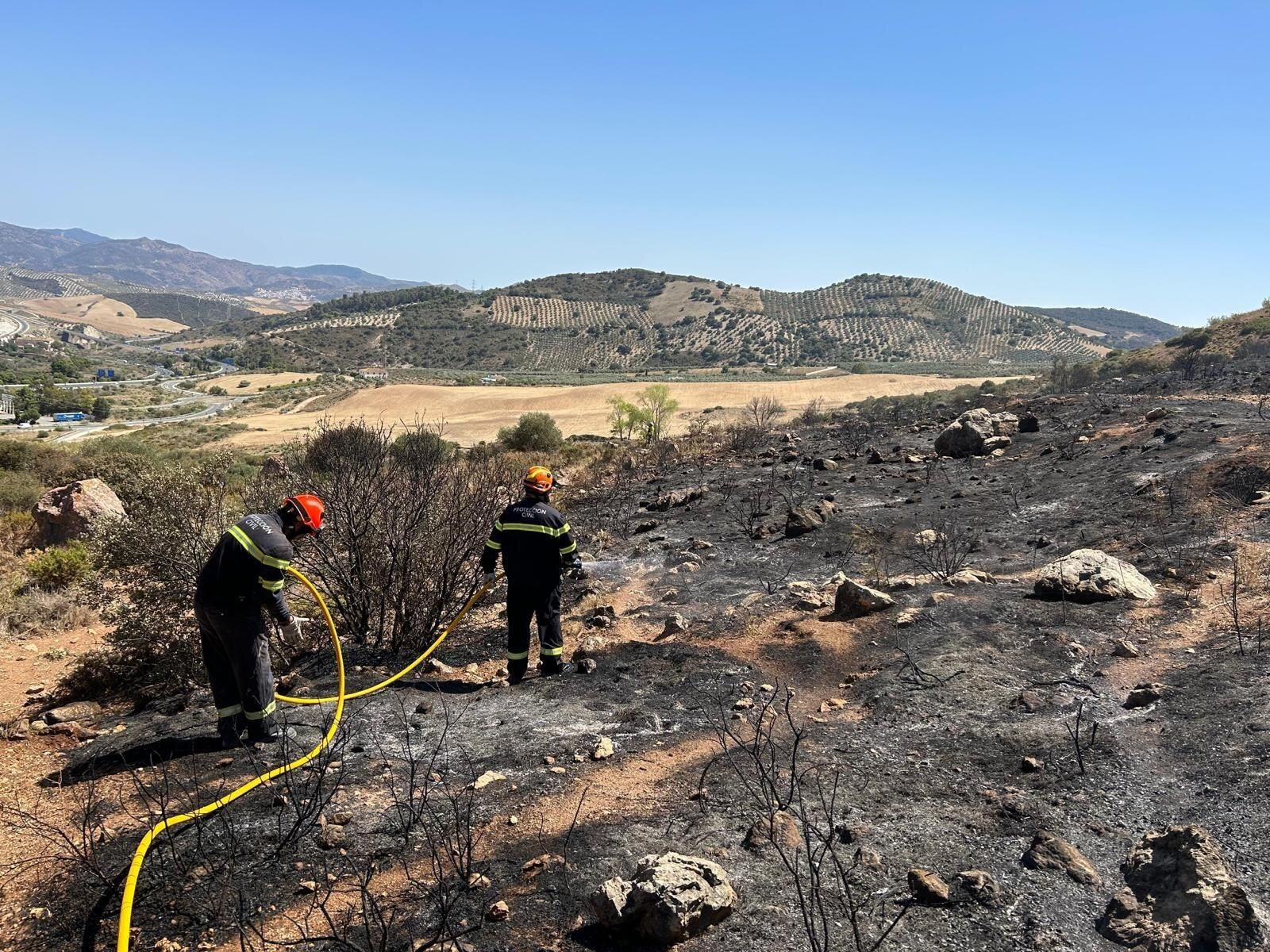 Bomberos realizan labores de extinción del incendio declarado en Antequera este domingo.