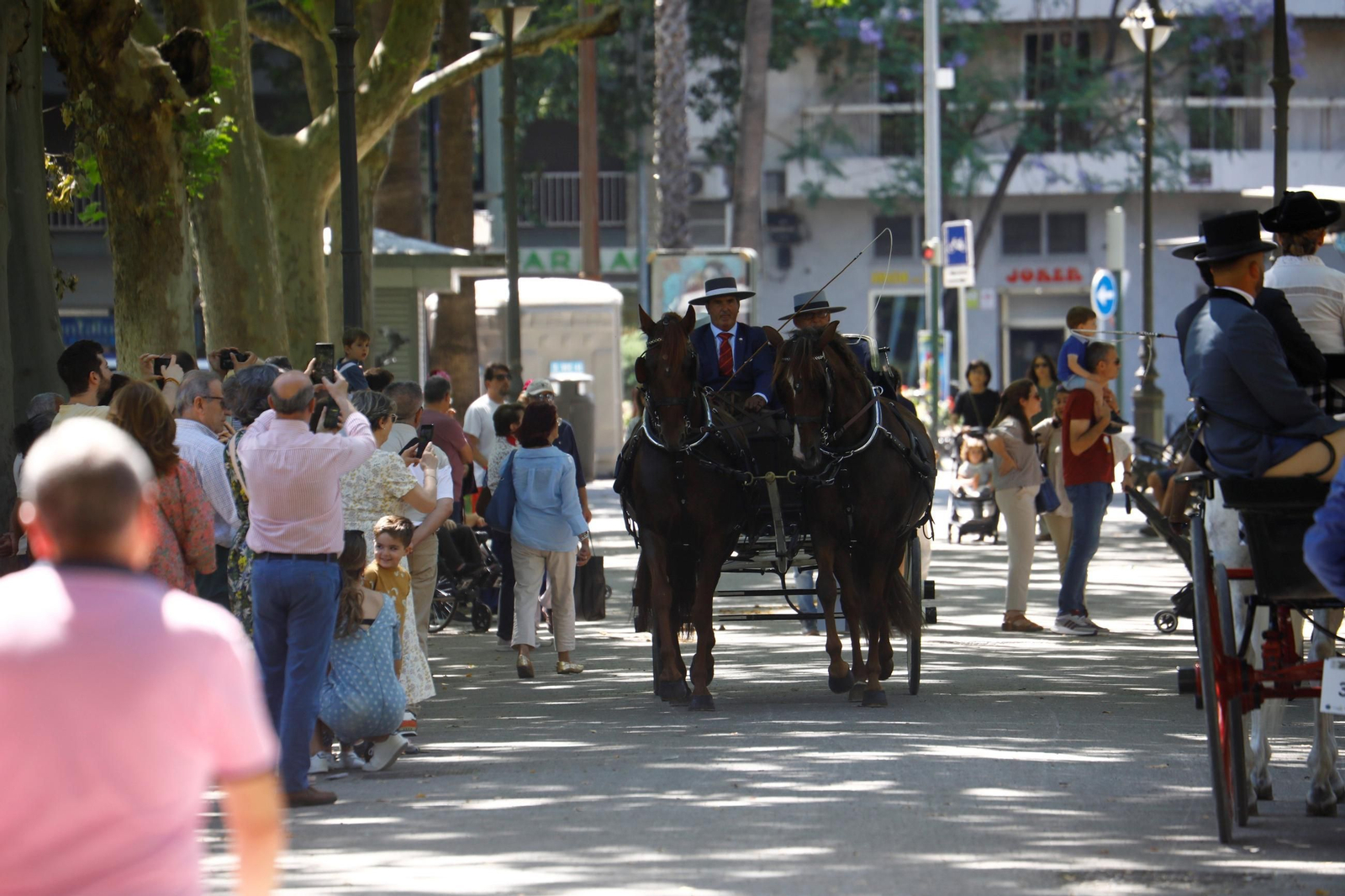 La exhibición de carruajes de tradición Nuestra Señora de la Salud, en imágenes