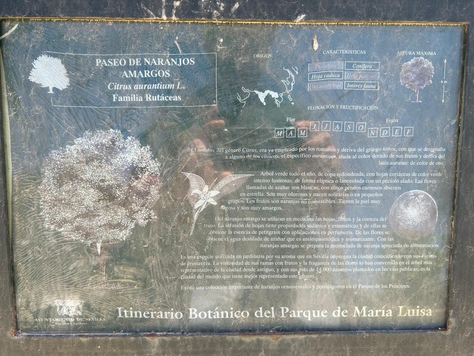 El cartel del Paseo de Naranjos Amargos de los Jardines de las Delicias