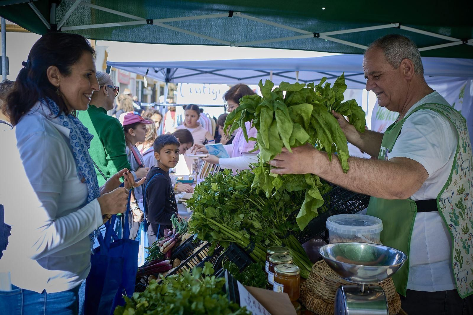 Estand de Asociación La Vicuña