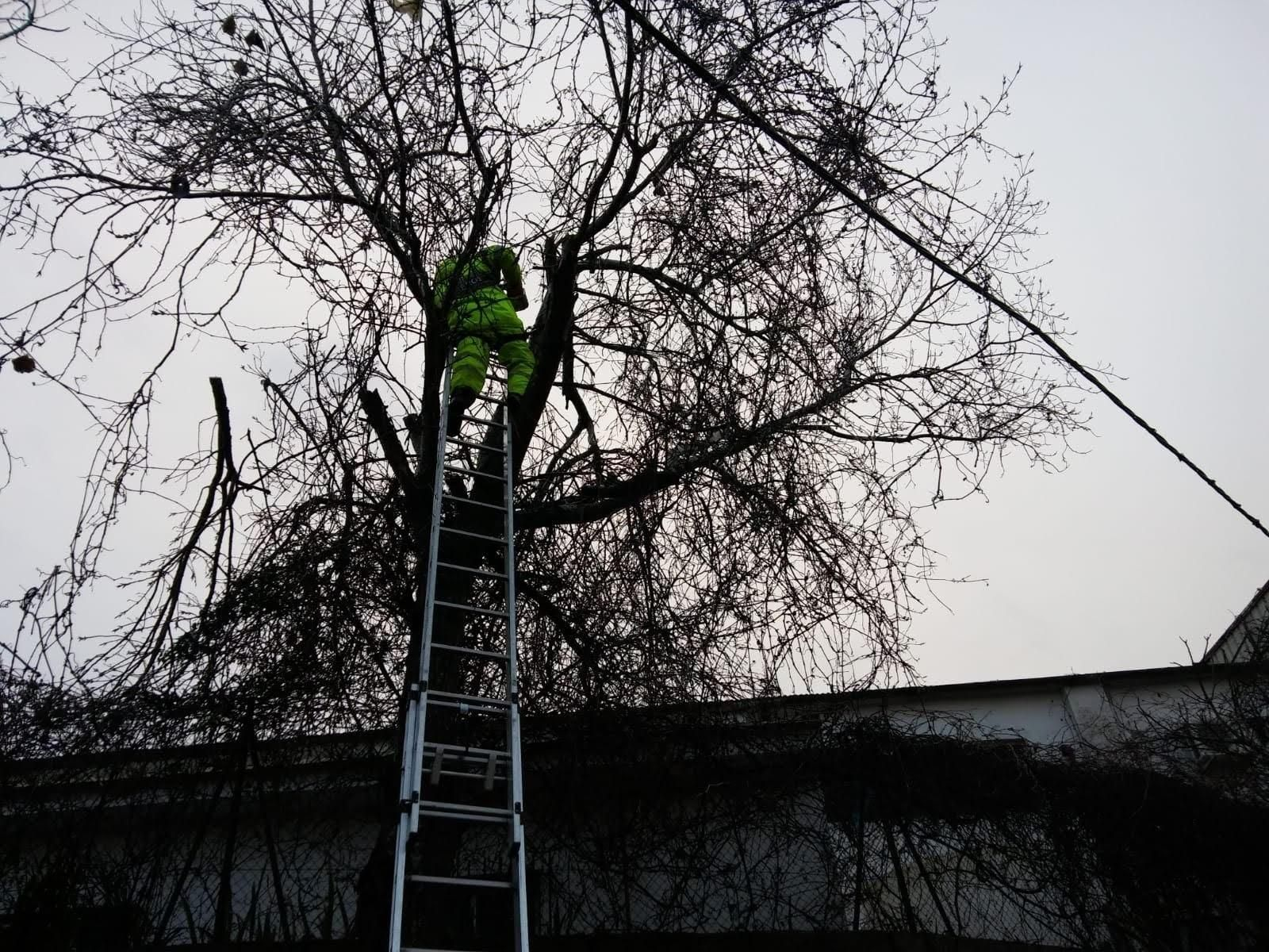 La borrasca Helena, en Cádiz