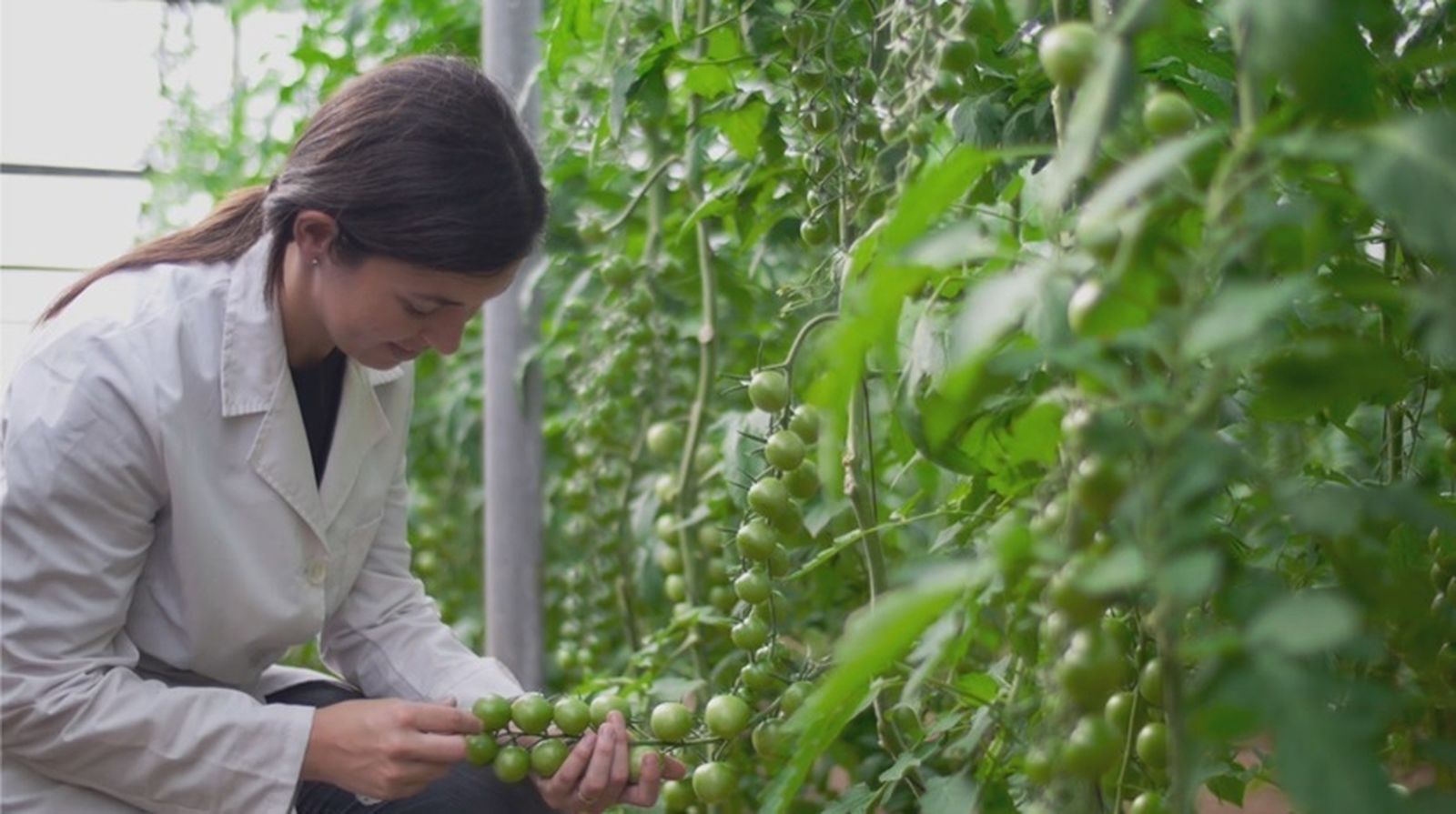 La bioagricultura es un modelo productivo que se sirve de los inputs de la naturaleza para producir.