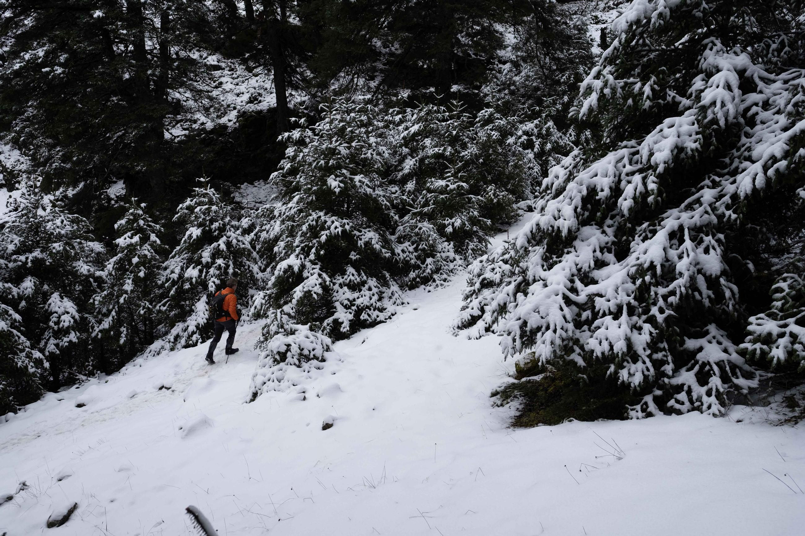 La ruta por la nieve en el Parque Nacional Sierra de las Nievas, en imágenes