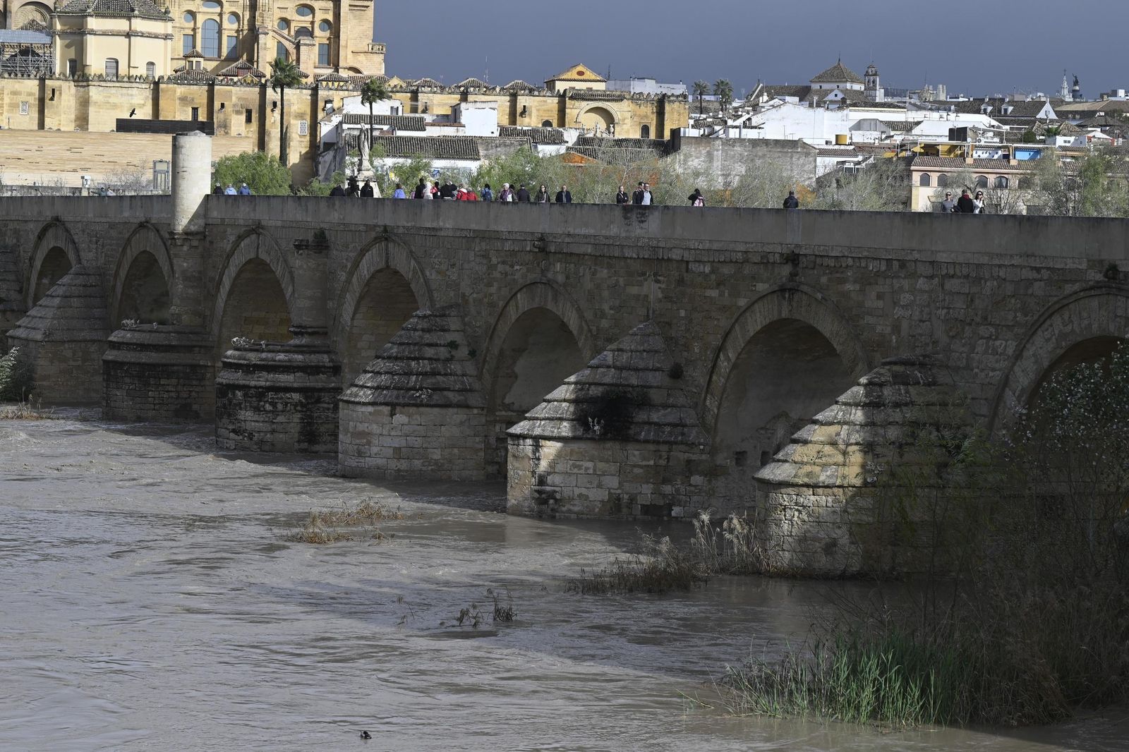 El río Guadalquivir recupera la normalidad tras las lluvias, pero sigue vigilado