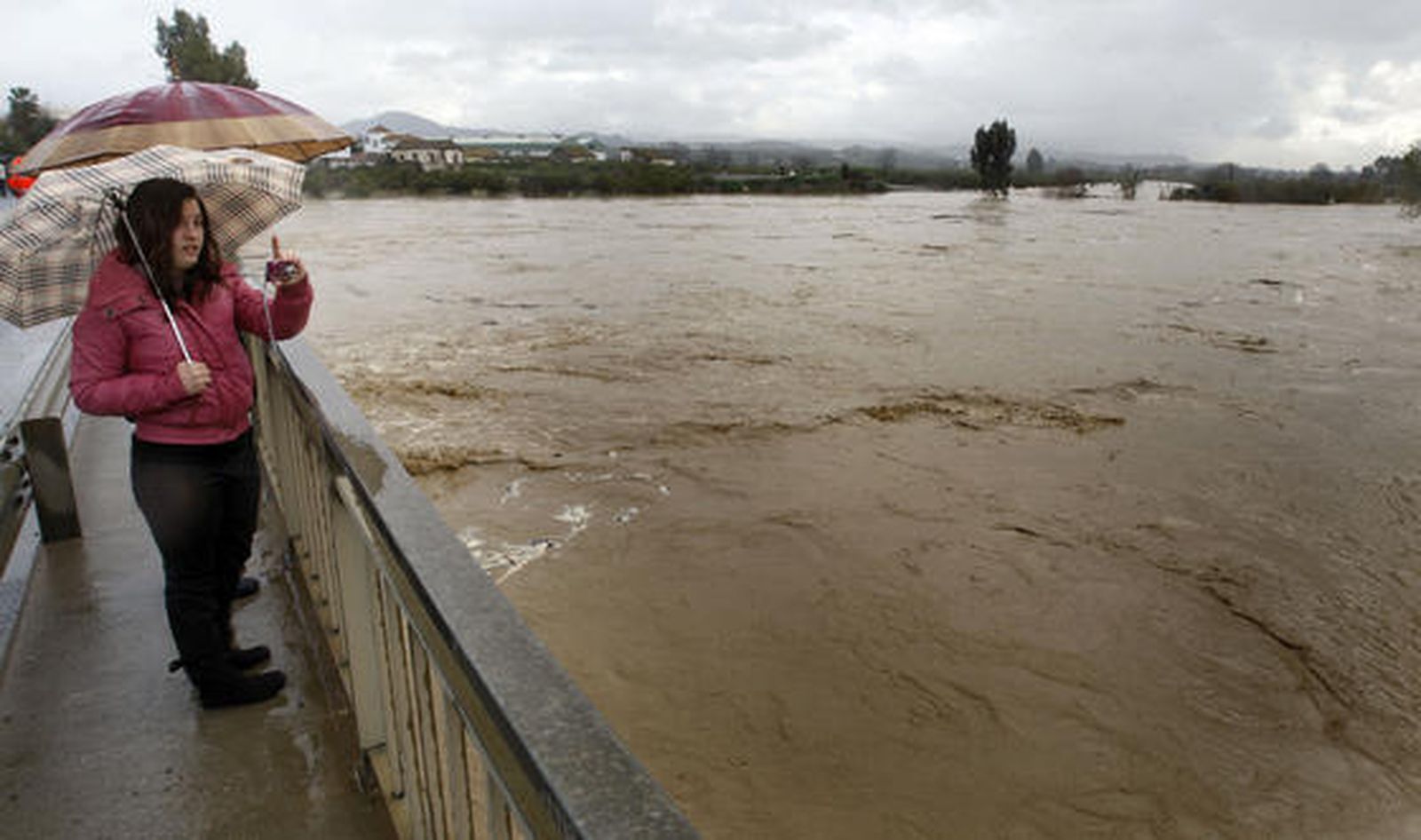 El río Guadalhorce a su paso por la estación de Cártama.

Foto: Migue Fernández, Sergio Camacho, Agencias