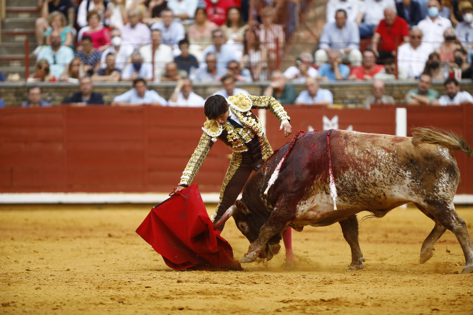 La corrida de Talavante, Roca Rey y Lagartijo, en Córdoba, en imágenes