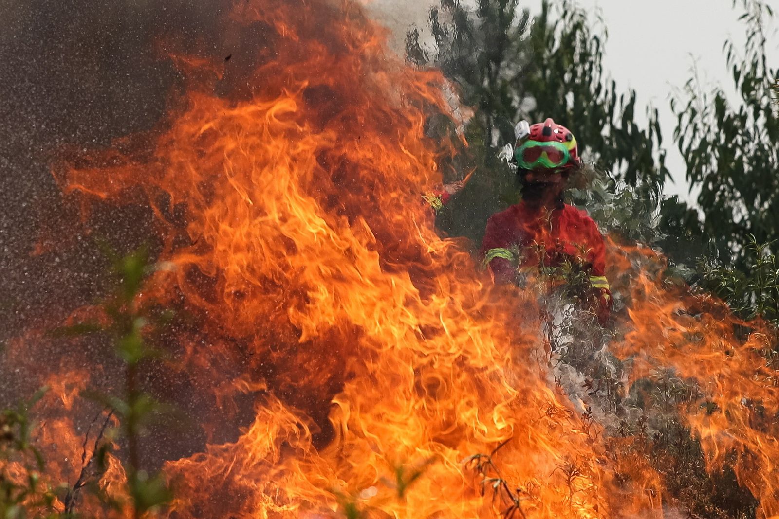 La extinción del incendio del centro de Portugal, en imágenes