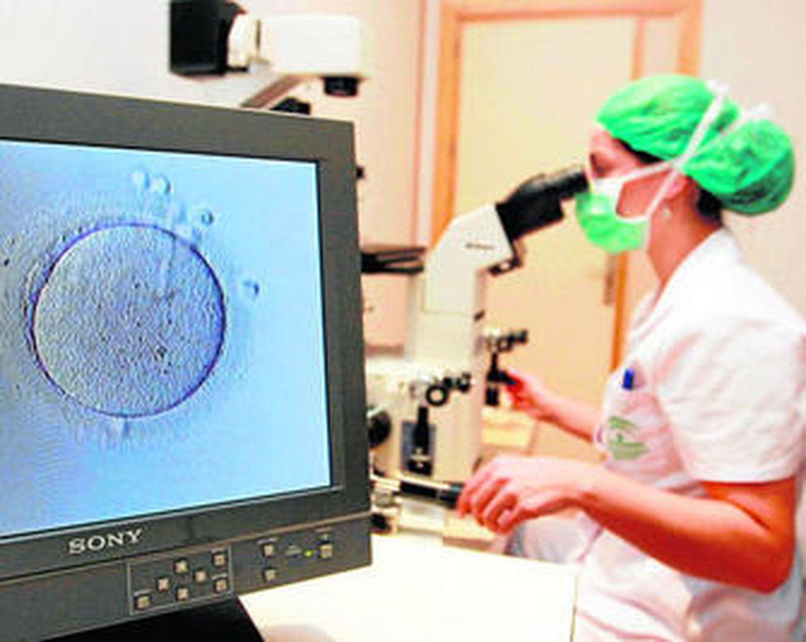 Una trabajadora observa células a través del microscopio.