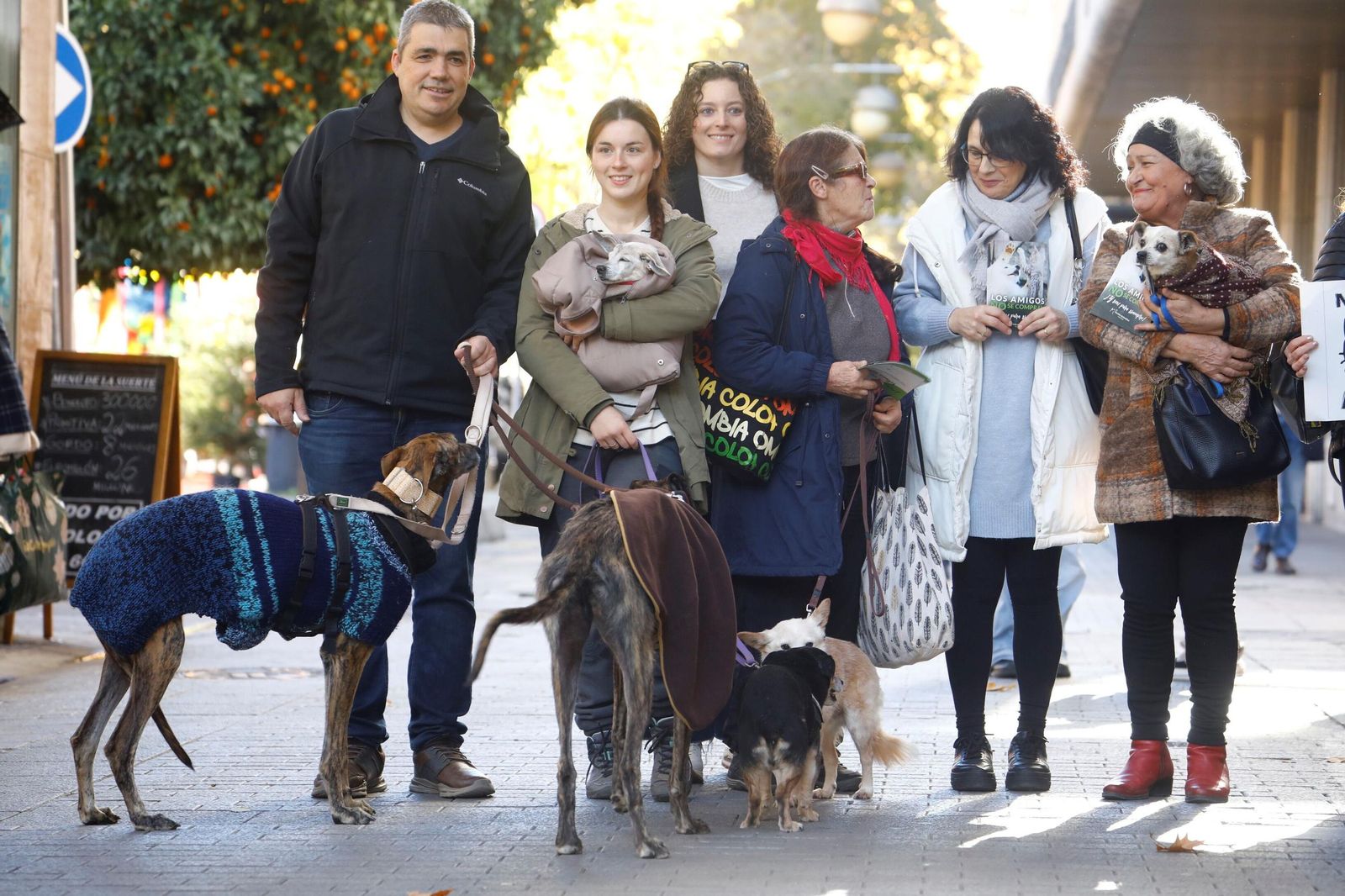 Las mejores imágenes del desfile preadopción de perros y gatos en Córdoba
