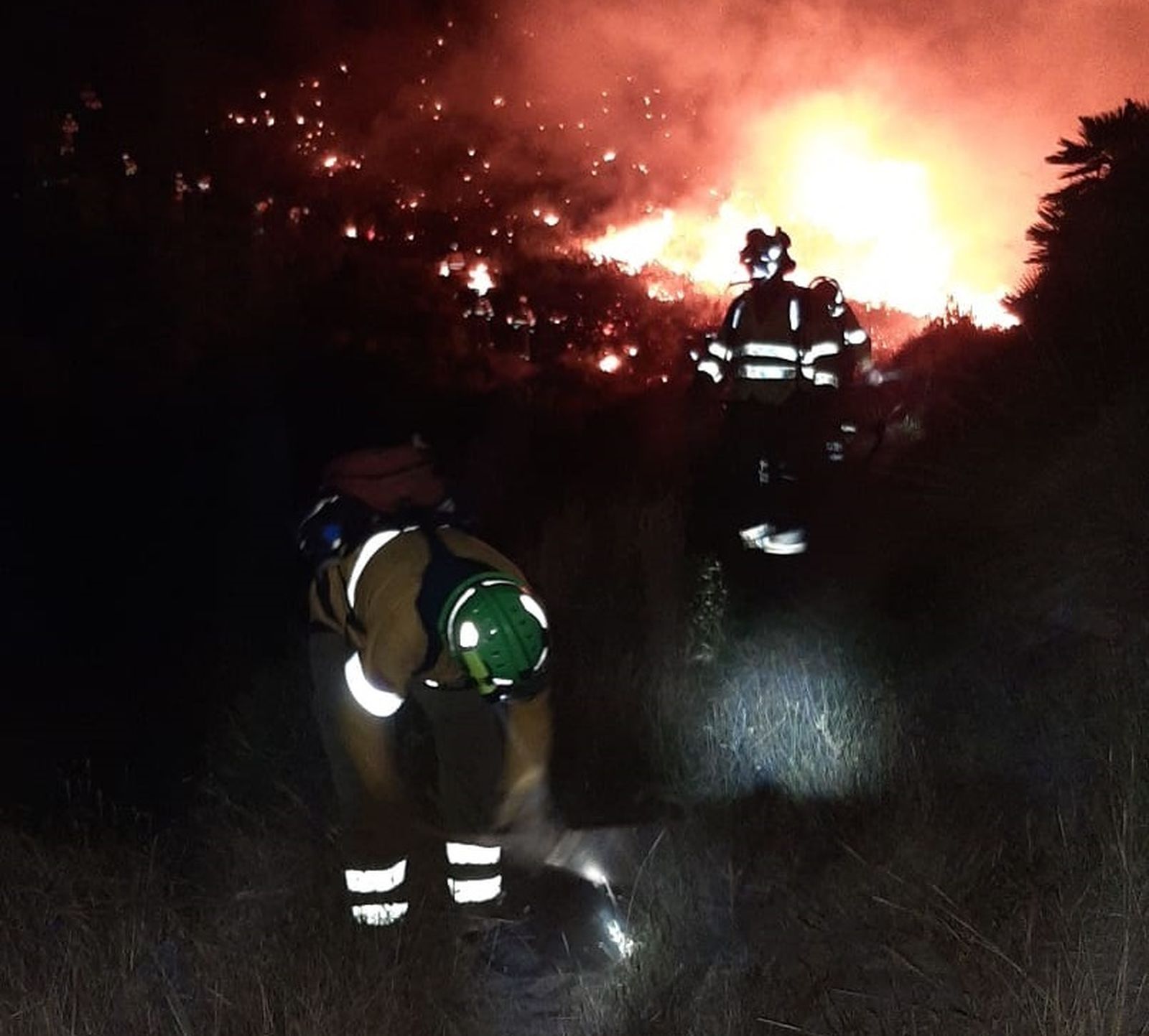 Bomberos forestales luchando contra el fuego este domingo por la noche.